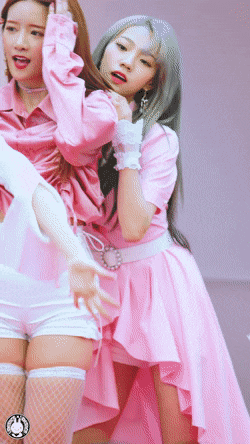 2130706433_1vWNVM6o_4a848f752b8a65e1e6be9d430dc830c92c3b4d0f.gif