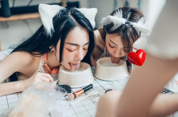 귀요미 고양이녀들