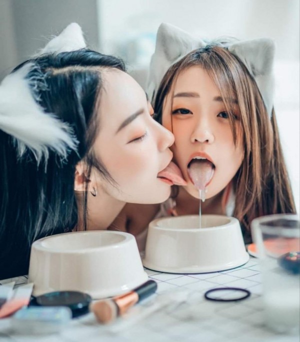귀요미 고양이녀들2