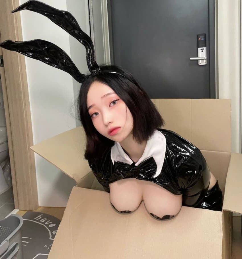 꼴의 미학