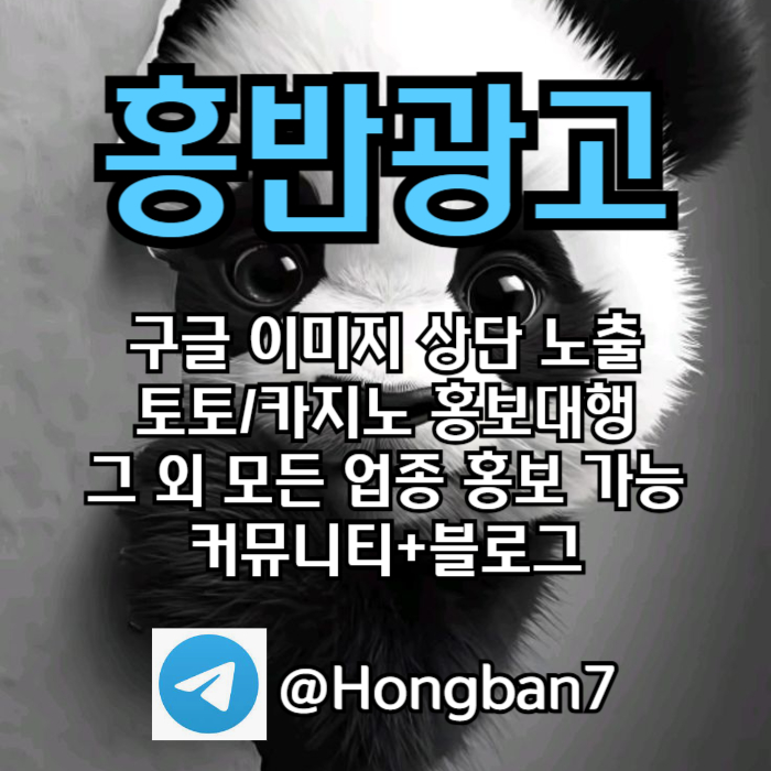 카지노홍보-구글홍보-스포츠토토홍보-토토홍보-토토사이트홍보j45u89guy9458n7n5.jpg