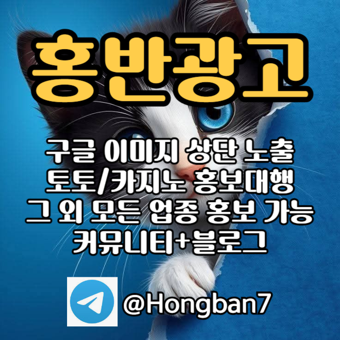카지노홍보-구글홍보-스포츠토토홍보-토토홍보-토토사이트홍보h489y9nu84v59845f2.jpg